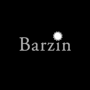 19_barzin